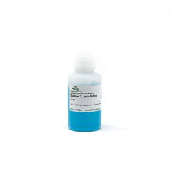 Solution 2 Lysis Buffer (45 ml)