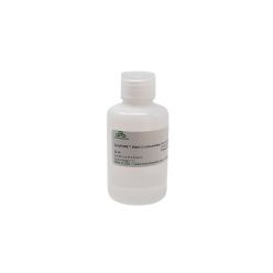 ZymoPURE™ Wash 2 (Concentrate) (23 ml)