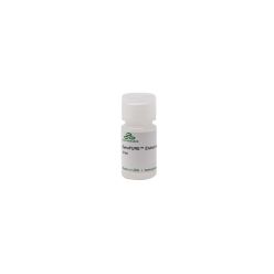 ZymoPURE Elution Buffer (12 ml)