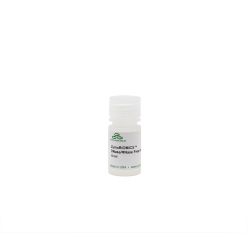 ZymoBIOMICS DNAse/RNAse Free Water (1 mL)