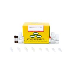EZ DNA Methylation-Gold™ Kit (50 Rxns)