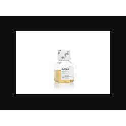 Cytiva SV30079.01 HyClone HyClone Antibiotic Antimycotic (Pen/Strep/Fungizone) solution, 100 mL, 1/EA