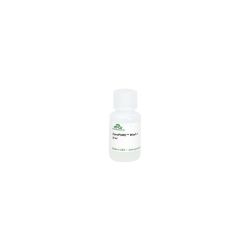 Zymo Research D4200-5-20 ZymoPURE Wash 1