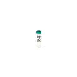 Zymo Research D5001-2 M-Dilution Buffer