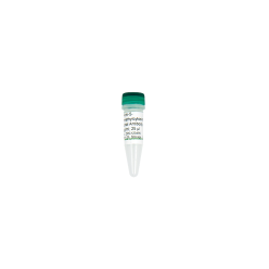 Zymo Research A4001-25 Anti-5-Hydroxymethylcytosine Polyclonal Antibody