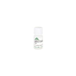 Zymo Research D2001-2-15 Solution 2 Lysis Buffer