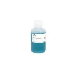 Zymo Research D2004-2-90 Solution 2 Lysis Buffer