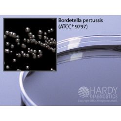 Hardy Diagnostic A63 Dry Culture Media, Regan Lowe w/o Cephalexin Plate,  70 Day Shelf Life (Pack of 10)