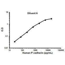 Abcam AB100621-1X96TESTS Human P cadherin ELISA Kit (1/EA)