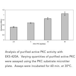 Enzo ADI-EKS-420A PKC kinase activity kit (96 wells)