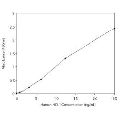 Enzo ADI-EKS-800 HO-1 (human), ELISA kit (96 wells)