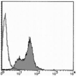 Enzo ADI-MSA-200-E BrdU monoclonal antibody (2B1) (100 µg)