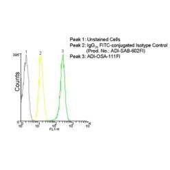 Enzo ADI-OSA-111FI-D HO-1 monoclonal antibody (HO-1-2) (FITC conjugate) (50 µg)