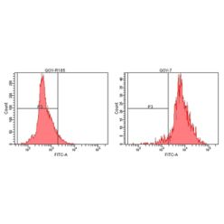 Enzo ADI-SPA-203-D Ubiquitin monoclonal antibody (P4G7-H11) (50 µg)