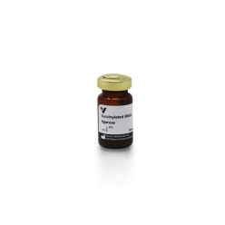 Vector Labs AL-1023S-2 Succinylated Wheat Germ Agglutinin (WGA), Agarose bound, 2 ml (1/EA)