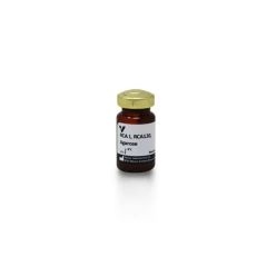 Vector Labs AL-1083-5 Ricinus Communis Agglutinin I (RCA I, RCA120), Agarose bound, 5 ml (1/EA)