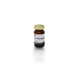 Vector Labs AL-1233-2 Vicia Villosa Lectin (VVL, VVA), Agarose bound, 2 ml (1/EA)