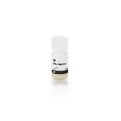 Vector Labs AL-1243-5 Galanthus Nivalis Lectin (GNL), Agarose bound, 5 ml (1/EA)