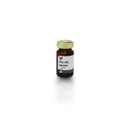 Vector Labs AL-1303-2 Sambucus Nigra Lectin (SNA, EBL), Agarose bound, 2 ml (1/EA)
