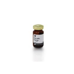 Vector Labs AL-1353-2 Wisteria Floribunda Lectin (WFA, WFL), Agarose bound, 2 ml (1/EA)