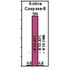Enzo ALX-201-062-U100 Caspase-8 (human), (recombinant) (active) (100 U)