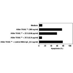 Enzo ALX-201-073-C020 KillerTRAIL™ Protein (soluble) (human), (recombinant) (20 µg)