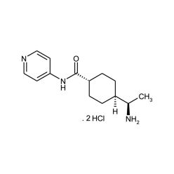 Enzo ALX-270-333-M001 Y-27632 . dihydrochloride (1 mg)