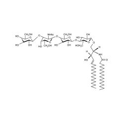 Enzo ALX-302-013-M001 Asialo-GM1 (1 mg)
