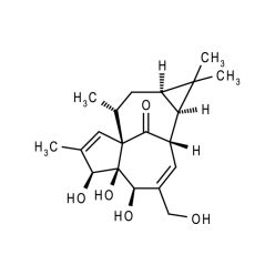 Enzo ALX-350-031-M005 Ingenol (high purity) (5 mg)