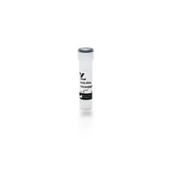 Vector Labs AS-2074-1 Goat Anti-Peanut Agglutinin (PNA), Unconjugated, 1 mg (1/EA)