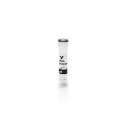 Vector Labs B-1025-5 Wheat Germ Agglutinin (WGA), Biotinylated, 5 mg (1/EA)