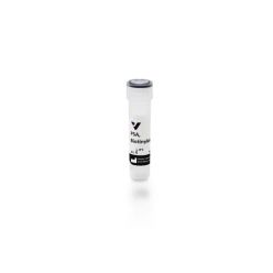 Vector Labs B-1055-5 Pisum Sativum Agglutinin (PSA), Biotinylated, 5 mg (1/EA)