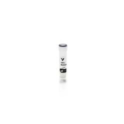 Vector Labs B-1065-2 Ulex Europaeus Agglutinin I (UEA I), Biotinylated, 2 mg (1/EA)