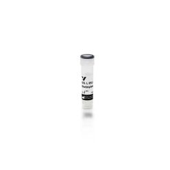 Vector Labs B-1105-2 Griffonia (Bandeiraea) Simplicifolia Lectin I (GSL I, BSL I), Biotinylated, 2 mg (1/EA)
