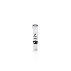 Vector Labs B-1115-2 Phaseolus Vulgaris Leucoagglutinin (PHA-L), Biotinylated, 2 mg (1/EA)