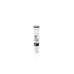 Vector Labs B-1125-2 Phaseolus Vulgaris Erythroagglutinin (PHA-E), Biotinylated, 2 mg (1/EA)
