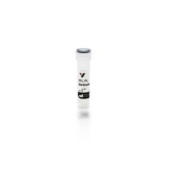 Vector Labs B-1165-2 Solanum Tuberosum (Potato) Lectin (STL, PL), Biotinylated, 2 mg (1/EA)