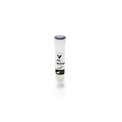 Vector Labs B-1185-2 Datura Stramonium Lectin (DSL), Biotinylated, 2 mg (1/EA)