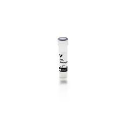 Vector Labs B-1245-2 Galanthus Nivalis Lectin (GNL), Biotinylated, 2 mg (1/EA)