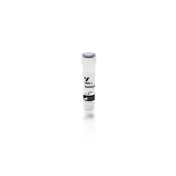 Vector Labs B-1315-2 Maackia Amurensis Lectin I (MAL I), Biotinylated, 2 mg (1/EA)