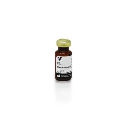 Vector Labs B-1325-2 Lotus Tetragonolobus Lectin (LTL), Biotinylated, 2 mg (1/EA)