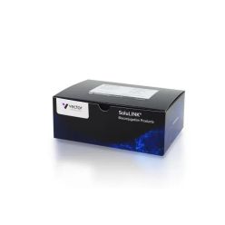 Vector Labs B-9007-105K ChromaLINK® Biotin Protein Labeling Kit, 1 Kit (1/EA)