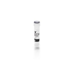 Vector Labs BA-0074-.5 Goat Anti-Peanut Agglutinin (PNA), Biotinylated, 0.5 mg (1/EA)