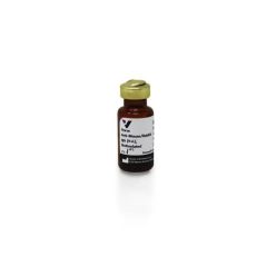 Vector Labs BA-1400-2.1 Horse Anti-Mouse/Rabbit IgGAntibody (H+L) (Universal), Biotinylated, 2.1 mg (1/EA)