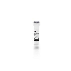 Vector Labs BA-3020-.5 Goat Anti-Human IgM Antibody, mu chain specific, Biotinylated, 0.5 mg (1/EA)