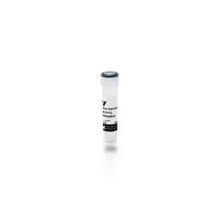 Vector Labs BA-9500-1.5 Horse Anti-Goat IgG Antibody (H+L), Biotinylated, 1.5 mg (1/EA)
