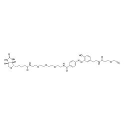 Vector Labs CCT-1042-1 Diazo Biotin Alkyne - 1 mg (1/EA)