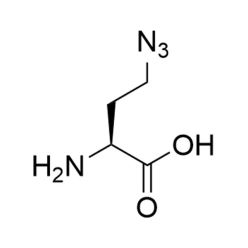 Vector Labs CCT-1066-25 L-Azidohomoalanine (AHA) - 25 mg (1/EA)