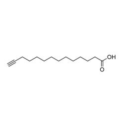 Vector Labs CCT-1164-25 Alkynyl Myristic Acid - 25 mg (1/EA)