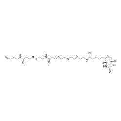 Vector Labs CCT-1168-5 Disulfide Biotin Azide - 5 mg (1/EA)